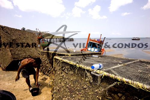 House for sale in BANGSARAY showing local fishermen at work House for sale in BANGSARAY showing local fishermen at work